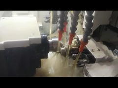 sm205 نوع سويسري